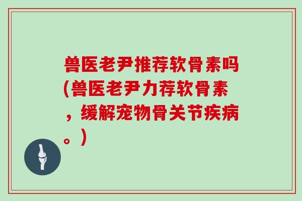 兽医老尹推荐软骨素吗(兽医老尹力荐软骨素,缓解宠物骨关节。) 兽医老尹推荐软骨素吗(兽医老尹力荐软骨素,缓解宠物骨关节。)