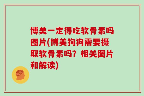 博美一定得吃软骨素吗图片(博美狗狗需要摄取软骨素吗？相关图片和解读)