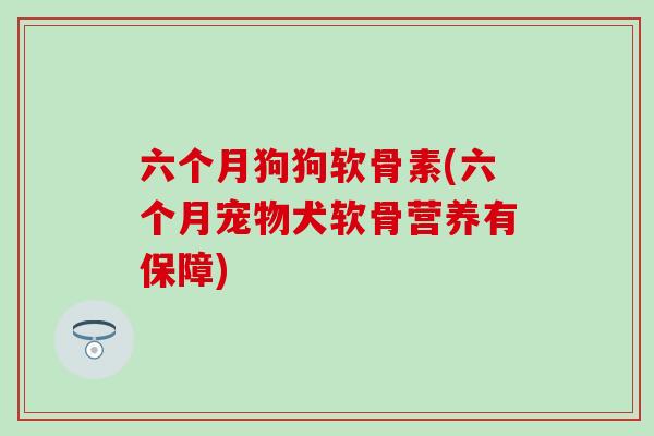 六个月狗狗软骨素(六个月宠物犬软骨营养有保障)