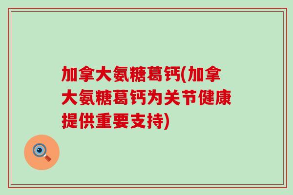 加拿大氨糖葛钙(加拿大氨糖葛钙为关节健康提供重要支持)