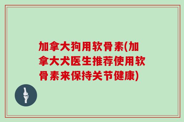加拿大狗用软骨素(加拿大犬医生推荐使用软骨素来保持关节健康)