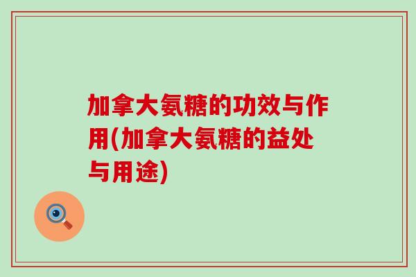 加拿大氨糖的功效与作用(加拿大氨糖的益处与用途)