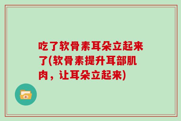 吃了软骨素耳朵立起来了(软骨素提升耳部肌肉,让耳朵立起来) 吃了软骨素耳朵立起来了(软骨素提升耳部肌肉,让耳朵立起来)