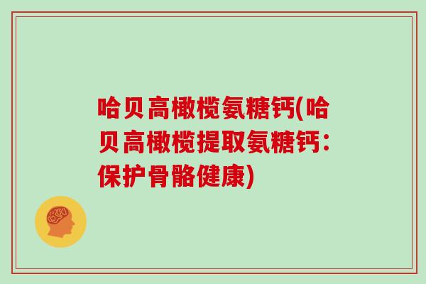 哈贝高橄榄氨糖钙(哈贝高橄榄提取氨糖钙:保护骨骼健康) 哈贝高橄榄氨糖钙(哈贝高橄榄提取氨糖钙:保护骨骼健康)