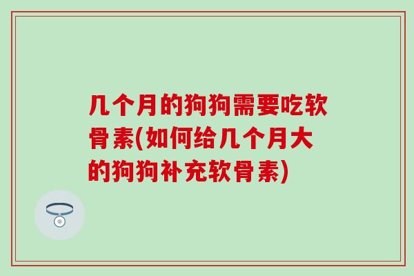 几个月的狗狗需要吃软骨素(如何给几个月大的狗狗补充软骨素) 几个月的狗狗需要吃软骨素(如何给几个月大的狗狗补充软骨素)