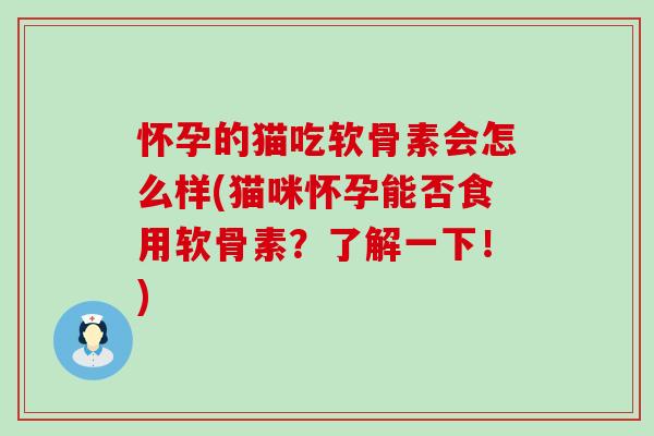 怀孕的猫吃软骨素会怎么样(猫咪怀孕能否食用软骨素?了解一下!) 怀孕的猫吃软骨素会怎么样(猫咪怀孕能否食用软骨素?了解一下!)