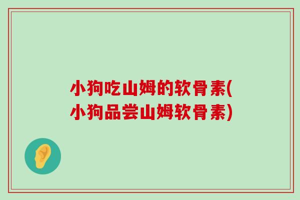 小狗吃山姆的软骨素(小狗品尝山姆软骨素) 小狗吃山姆的软骨素(小狗品尝山姆软骨素)