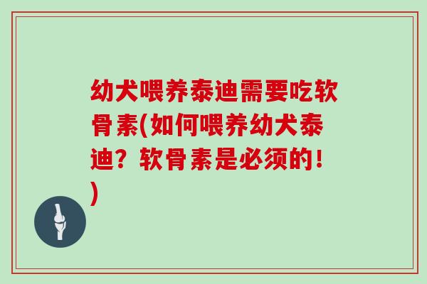 幼犬喂养泰迪需要吃软骨素(如何喂养幼犬泰迪？软骨素是必须的！)