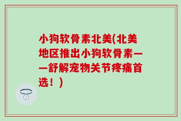 小狗软骨素北美(北美地区推出小狗软骨素——舒解宠物关节首选！)
