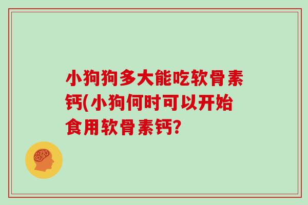 小狗狗多大能吃软骨素钙(小狗何时可以开始食用软骨素钙？