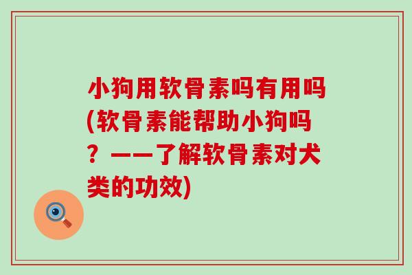 小狗用软骨素吗有用吗(软骨素能帮助小狗吗？——了解软骨素对犬类的功效)