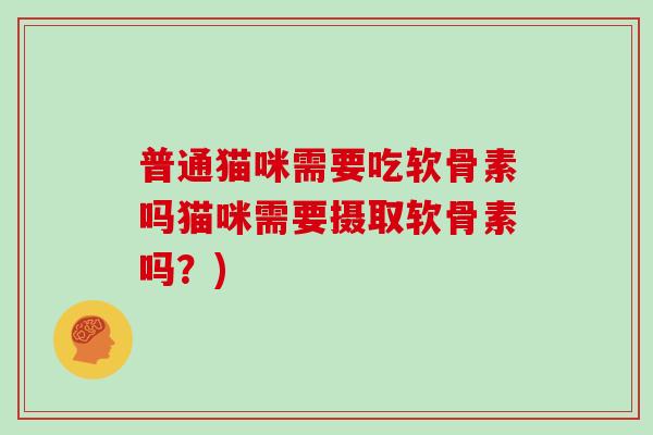 普通猫咪需要吃软骨素吗猫咪需要摄取软骨素吗？)