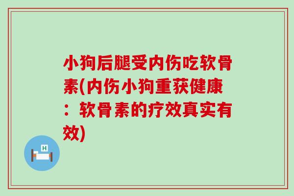 小狗后腿受内伤吃软骨素(内伤小狗重获健康:软骨素的疗效真实有效) 小狗后腿受内伤吃软骨素(内伤小狗重获健康:软骨素的疗效真实有效)