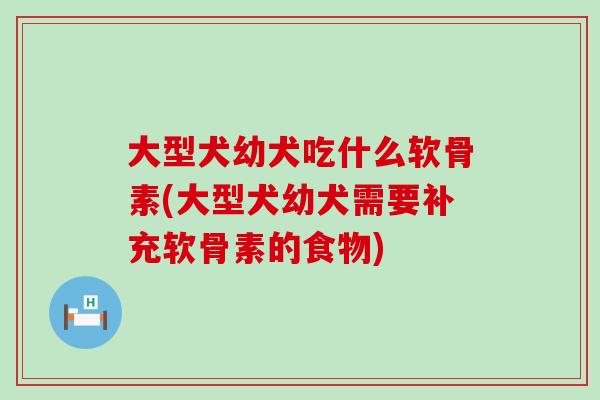 大型犬幼犬吃什么软骨素(大型犬幼犬需要补充软骨素的食物)