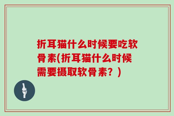 折耳猫什么时候要吃软骨素(折耳猫什么时候需要摄取软骨素？)