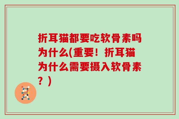 折耳猫都要吃软骨素吗为什么(重要!折耳猫为什么需要摄入软骨素?) 折耳猫都要吃软骨素吗为什么(重要!折耳猫为什么需要摄入软骨素?)