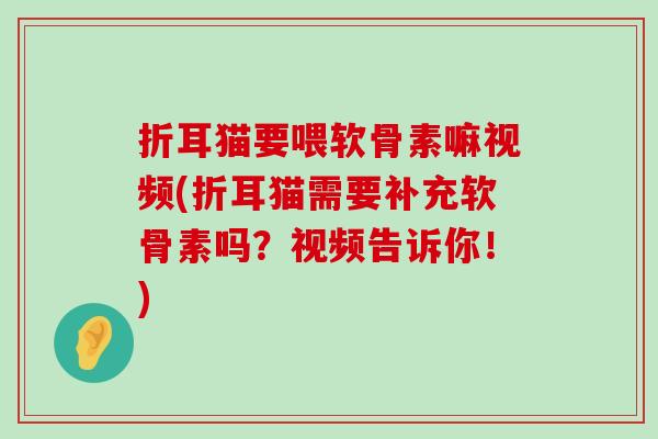 折耳猫要喂软骨素嘛视频(折耳猫需要补充软骨素吗?视频告诉你!) 折耳猫要喂软骨素嘛视频(折耳猫需要补充软骨素吗?视频告诉你!)