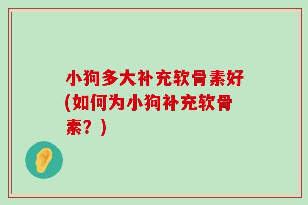 小狗多大补充软骨素好(如何为小狗补充软骨素?) 小狗多大补充软骨素好(如何为小狗补充软骨素?)