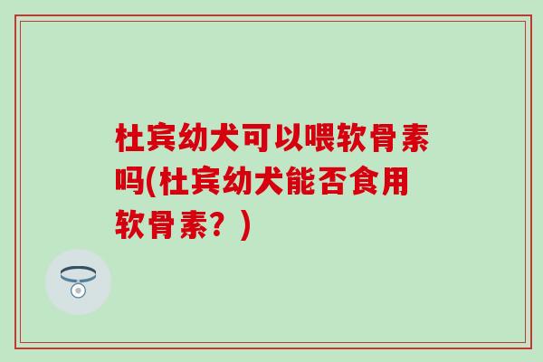 杜宾幼犬可以喂软骨素吗(杜宾幼犬能否食用软骨素？)