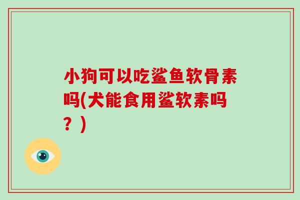小狗可以吃鲨鱼软骨素吗(犬能食用鲨软素吗?) 小狗可以吃鲨鱼软骨素吗(犬能食用鲨软素吗?)