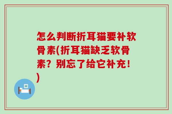 怎么判断折耳猫要补软骨素(折耳猫缺乏软骨素？别忘了给它补充！)