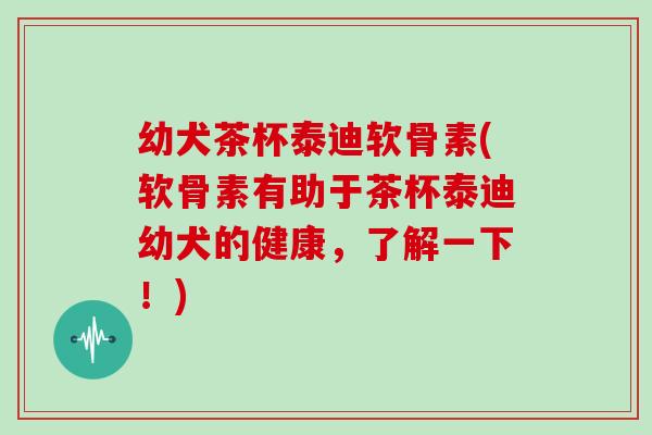 幼犬茶杯泰迪软骨素(软骨素有助于茶杯泰迪幼犬的健康，了解一下！)