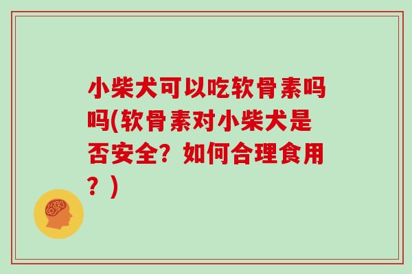 小柴犬可以吃软骨素吗吗(软骨素对小柴犬是否安全？如何合理食用？)