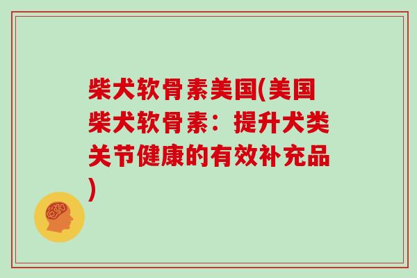 柴犬软骨素美国(美国柴犬软骨素：提升犬类关节健康的有效补充品)