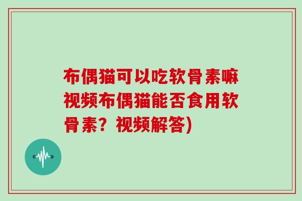 布偶猫可以吃软骨素嘛视频布偶猫能否食用软骨素?视频解答) 布偶猫可以吃软骨素嘛视频布偶猫能否食用软骨素?视频解答)