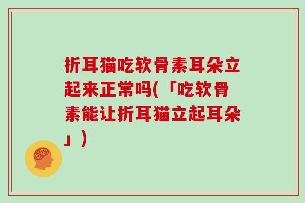折耳猫吃软骨素耳朵立起来正常吗(「吃软骨素能让折耳猫立起耳朵」)