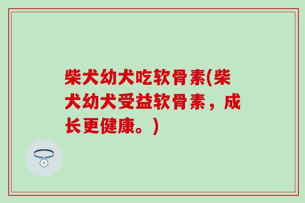 柴犬幼犬吃软骨素(柴犬幼犬受益软骨素,成长更健康。) 柴犬幼犬吃软骨素(柴犬幼犬受益软骨素,成长更健康。)