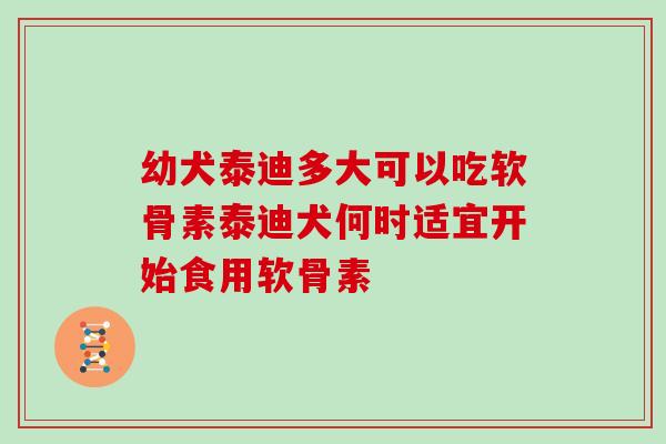 幼犬泰迪多大可以吃软骨素泰迪犬何时适宜开始食用软骨素 幼犬泰迪多大可以吃软骨素泰迪犬何时适宜开始食用软骨素