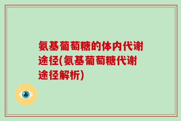 氨基葡萄糖的体内代谢途径(氨基葡萄糖代谢途径解析)