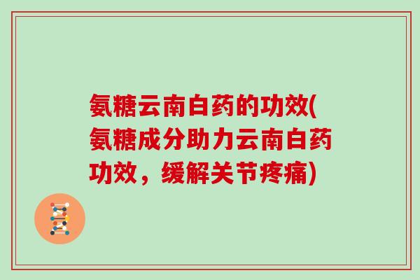 氨糖云南白药的功效(氨糖成分助力云南白药功效，缓解关节)