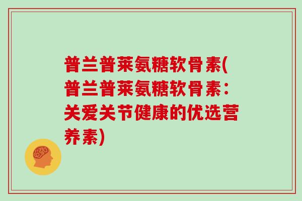 普兰普莱氨糖软骨素(普兰普莱氨糖软骨素：关爱关节健康的优选营养素)