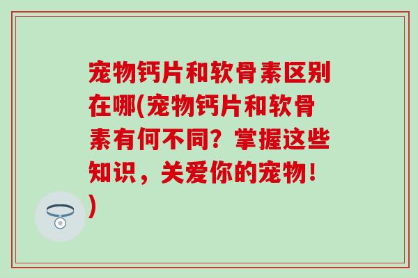 宠物钙片和软骨素区别在哪(宠物钙片和软骨素有何不同？掌握这些知识，关爱你的宠物！)