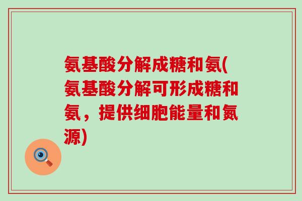 氨基酸分解成糖和氨(氨基酸分解可形成糖和氨,提供细胞能量和氮源) 氨基酸分解成糖和氨(氨基酸分解可形成糖和氨,提供细胞能量和氮源)