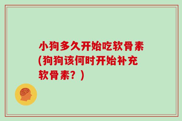 小狗多久开始吃软骨素(狗狗该何时开始补充软骨素？)