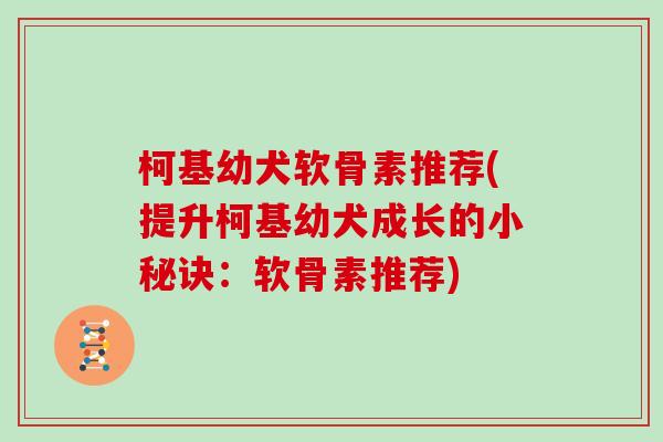 柯基幼犬软骨素推荐(提升柯基幼犬成长的小秘诀：软骨素推荐)