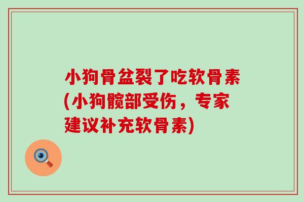 小狗骨盆裂了吃软骨素(小狗髋部受伤,专家建议补充软骨素) 小狗骨盆裂了吃软骨素(小狗髋部受伤,专家建议补充软骨素)