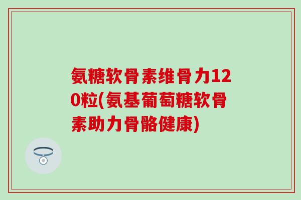 氨糖软骨素维骨力120粒(氨基葡萄糖软骨素助力骨骼健康) 氨糖软骨素维骨力120粒(氨基葡萄糖软骨素助力骨骼健康)