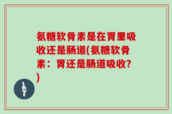 氨糖软骨素是在胃里吸收还是肠道(氨糖软骨素:胃还是肠道吸收?) 氨糖软骨素是在胃里吸收还是肠道(氨糖软骨素:胃还是肠道吸收?)