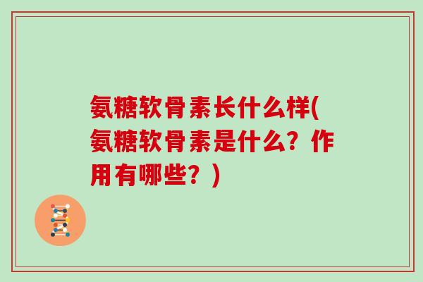 氨糖软骨素长什么样(氨糖软骨素是什么?作用有哪些?) 氨糖软骨素长什么样(氨糖软骨素是什么?作用有哪些?)
