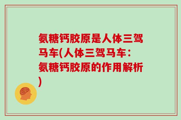 氨糖钙胶原是人体三驾马车(人体三驾马车：氨糖钙胶原的作用解析)