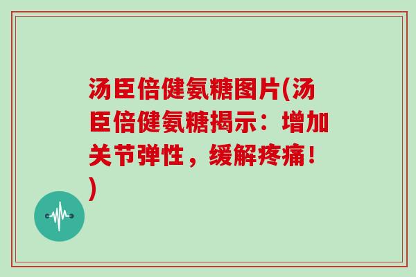 汤臣倍健氨糖图片(汤臣倍健氨糖揭示：增加关节弹性，缓解！)