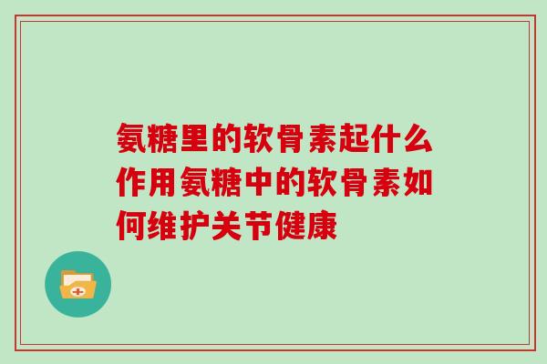 氨糖里的软骨素起什么作用氨糖中的软骨素如何维护关节健康 氨糖里的软骨素起什么作用氨糖中的软骨素如何维护关节健康