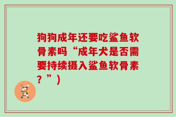 狗狗成年还要吃鲨鱼软骨素吗“成年犬是否需要持续摄入鲨鱼软骨素?”) 狗狗成年还要吃鲨鱼软骨素吗“成年犬是否需要持续摄入鲨鱼软骨素?”)