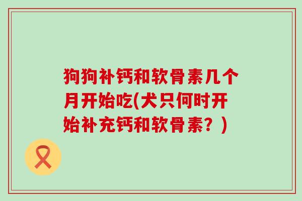 狗狗补钙和软骨素几个月开始吃(犬只何时开始补充钙和软骨素?) 狗狗补钙和软骨素几个月开始吃(犬只何时开始补充钙和软骨素?)