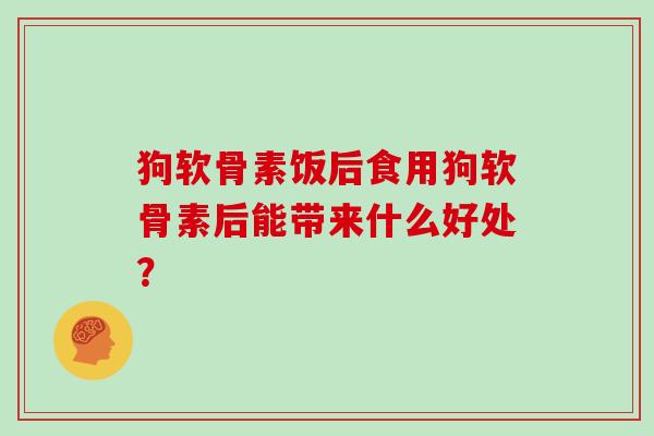 狗软骨素饭后食用狗软骨素后能带来什么好处？