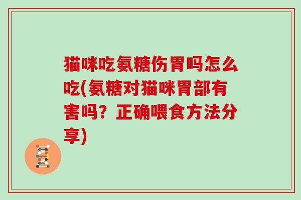猫咪吃氨糖伤胃吗怎么吃(氨糖对猫咪胃部有害吗？正确喂食方法分享)